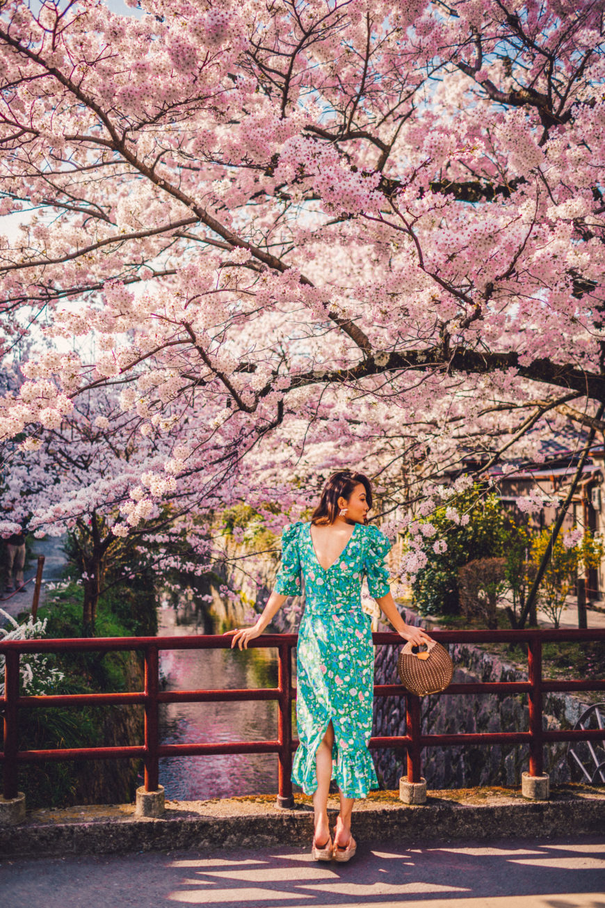 7 GORGEOUS SPOTS FOR CHERRY BLOSSOMS IN JAPAN