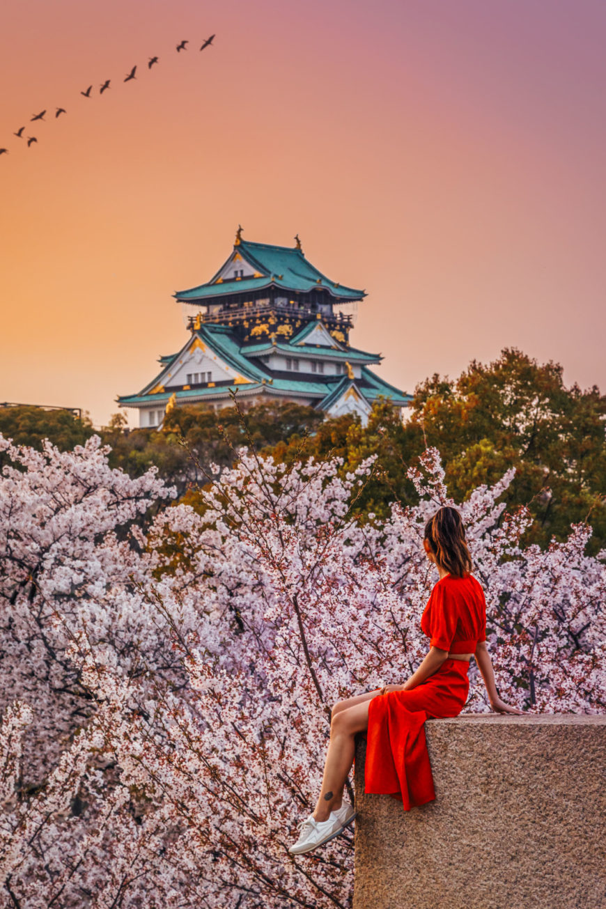 7 GORGEOUS SPOTS FOR CHERRY BLOSSOMS IN JAPAN