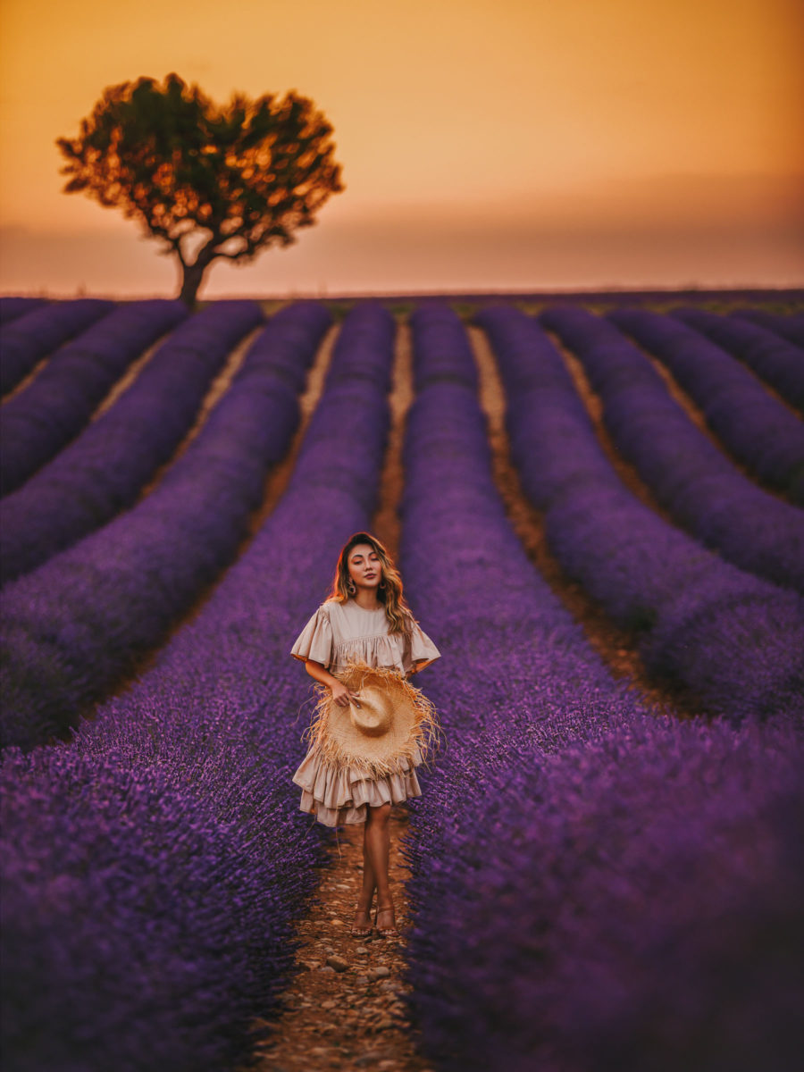 Lavender Fields Provence, Fashion and Travel Blogger, Phillip Lim flamenco dress // Notjessfashion.com