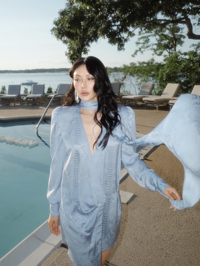 Jessica Wang, Chinese American fashion and lifestyle creator